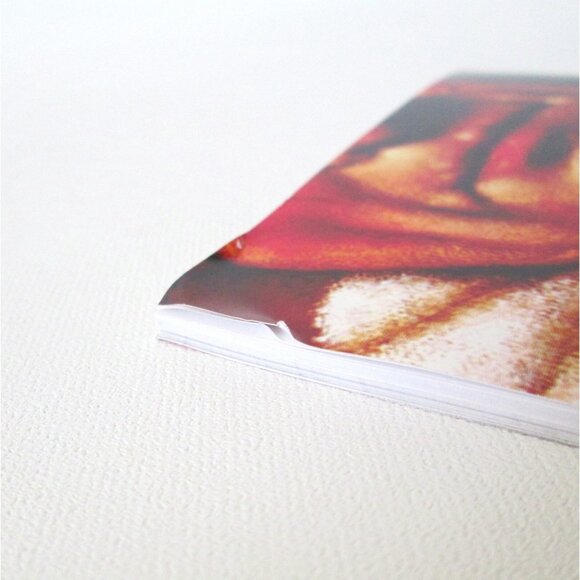 Verdi Rigoletto 2 Cd Set Pavarotti Scotto Live Performance 1966 Opera D'Oro - Picture 10 of 10